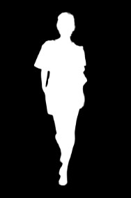 Body parser mask